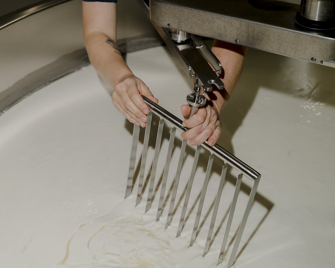 A tool is pulled through the whey of cheese.